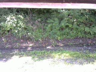 長野県菅平高原 ゆたか山荘 南側 2025/08/18 08:30