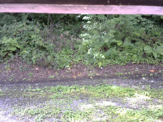 長野県菅平高原 ゆたか山荘 南側 2025/08/18 09:00