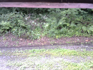 長野県菅平高原 ゆたか山荘 南側 2025/08/18 09:15