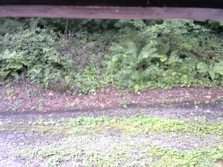 長野県菅平高原 ゆたか山荘 南側 2025/08/18 09:30