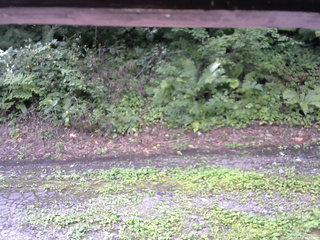 長野県菅平高原 ゆたか山荘 南側 2025/08/18 09:45