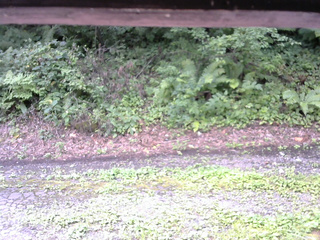 長野県菅平高原 ゆたか山荘 南側 2025/08/18 10:00