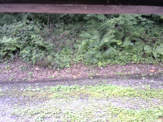 長野県菅平高原 ゆたか山荘 南側 2025/08/18 10:15