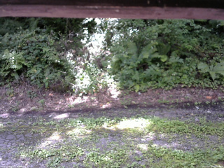 長野県菅平高原 ゆたか山荘 南側 2025/08/18 10:45