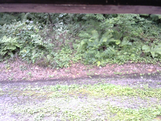 長野県菅平高原 ゆたか山荘 南側 2025/08/18 11:00