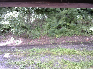 長野県菅平高原 ゆたか山荘 南側 2025/08/18 11:15