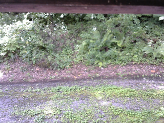 長野県菅平高原 ゆたか山荘 南側 2025/08/18 11:30