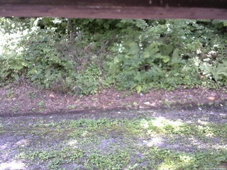 長野県菅平高原 ゆたか山荘 南側 2025/08/18 11:45