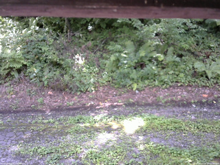 長野県菅平高原 ゆたか山荘 南側 2025/08/18 12:00