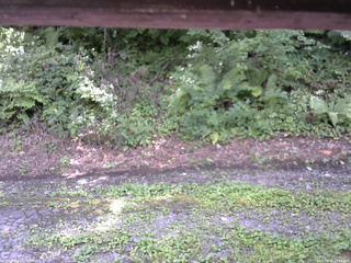 長野県菅平高原 ゆたか山荘 南側 2025/08/18 12:15