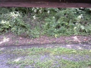 長野県菅平高原 ゆたか山荘 南側 2025/08/18 12:45