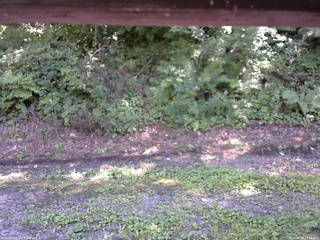 長野県菅平高原 ゆたか山荘 南側 2025/08/18 13:30