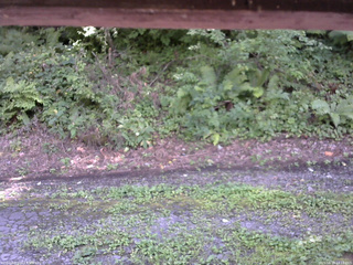 長野県菅平高原 ゆたか山荘 南側 2025/08/18 14:15