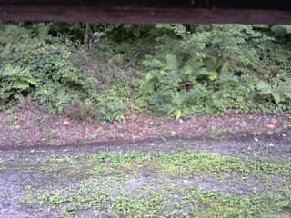 長野県菅平高原 ゆたか山荘 南側 2025/08/18 15:15