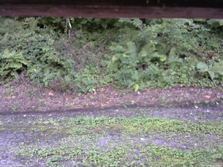 長野県菅平高原 ゆたか山荘 南側 2025/08/18 15:30