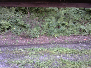 長野県菅平高原 ゆたか山荘 南側 2025/08/18 15:45