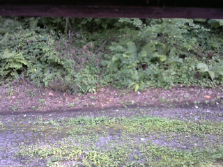 長野県菅平高原 ゆたか山荘 南側 2025/08/18 16:15