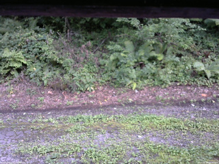 長野県菅平高原 ゆたか山荘 南側 2025/08/18 16:30