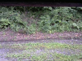 長野県菅平高原 ゆたか山荘 南側 2025/08/18 16:45