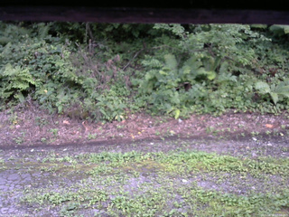 長野県菅平高原 ゆたか山荘 南側 2025/08/18 17:00