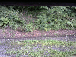 長野県菅平高原 ゆたか山荘 南側 2025/08/18 17:15