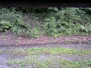 長野県菅平高原 ゆたか山荘 南側 2025/08/18 17:30