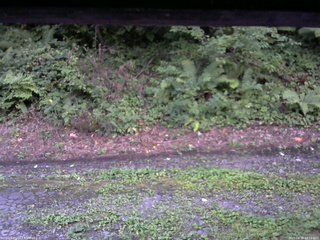 長野県菅平高原 ゆたか山荘 南側 2025/08/18 18:15