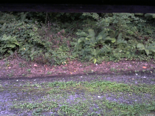 長野県菅平高原 ゆたか山荘 南側 2025/08/18 18:30