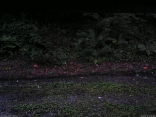 長野県菅平高原 ゆたか山荘 南側 2025/08/18 18:45