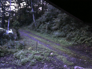 長野県菅平高原 ゆたか山荘 東側(坂下) 2025/08/18 05:00