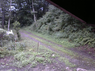 長野県菅平高原 ゆたか山荘 東側(坂下) 2025/08/18 05:30