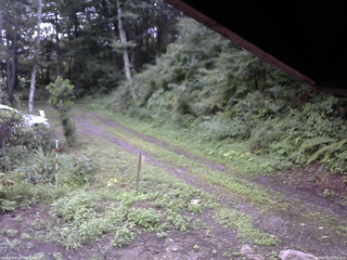 長野県菅平高原 ゆたか山荘 東側(坂下) 2025/08/18 05:45