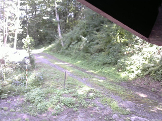 長野県菅平高原 ゆたか山荘 東側(坂下) 2025/08/18 12:45