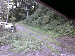 長野県菅平高原 ゆたか山荘 東側(坂下) 2025/08/18 13:15