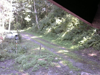 長野県菅平高原 ゆたか山荘 東側(坂下) 2025/08/18 13:30
