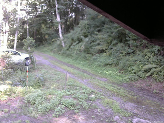 長野県菅平高原 ゆたか山荘 東側(坂下) 2025/08/18 16:00