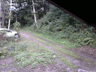 長野県菅平高原 ゆたか山荘 東側(坂下) 2025/08/18 17:00