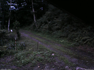 長野県菅平高原 ゆたか山荘 東側(坂下) 2025/08/18 18:45