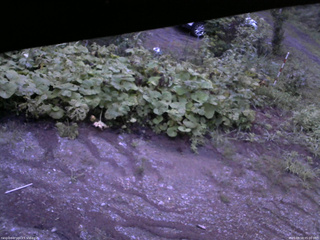 長野県菅平高原 ゆたか山荘 駐車場 2025/08/18 05:00