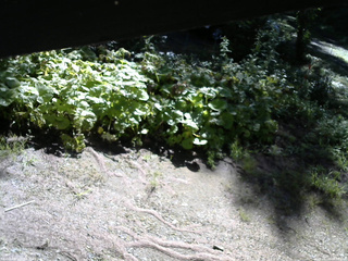 長野県菅平高原 ゆたか山荘 駐車場 2025/08/18 08:15