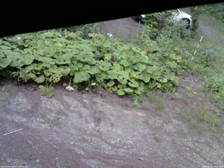 長野県菅平高原 ゆたか山荘 駐車場 2025/08/18 18:00