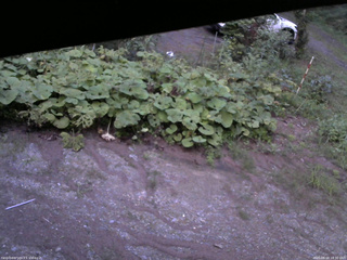長野県菅平高原 ゆたか山荘 駐車場 2025/08/18 18:30