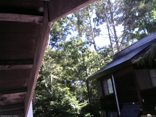 長野県菅平高原 ゆたか山荘 北側 2025/08/19 08:00