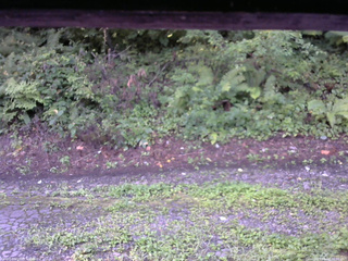 長野県菅平高原 ゆたか山荘 南側 2025/08/19 06:00