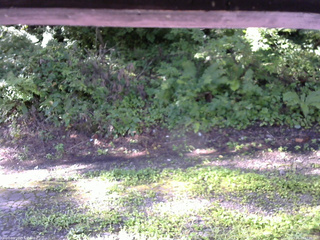 長野県菅平高原 ゆたか山荘 南側 2025/08/19 07:30