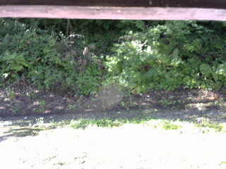 長野県菅平高原 ゆたか山荘 南側 2025/08/19 08:00