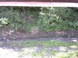 長野県菅平高原 ゆたか山荘 南側 2025/08/19 08:45