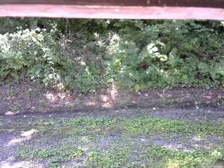 長野県菅平高原 ゆたか山荘 南側 2025/08/19 09:45