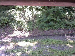 長野県菅平高原 ゆたか山荘 南側 2025/08/19 11:00