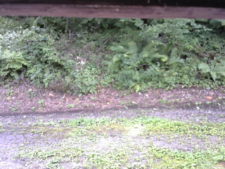 長野県菅平高原 ゆたか山荘 南側 2025/08/19 12:00